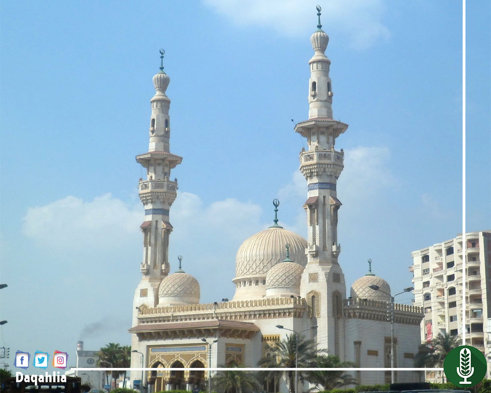 جامع الموافي